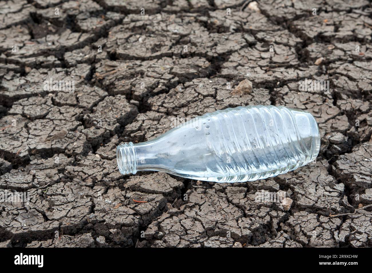 Eine Wasserflasche, einsam auf einem ausgetrockneten Boden. Der Klimawandel bringt Wasserknappheit nach Europa. Jeder Tropfen zählt für unsere Zukunft. Stockfoto
