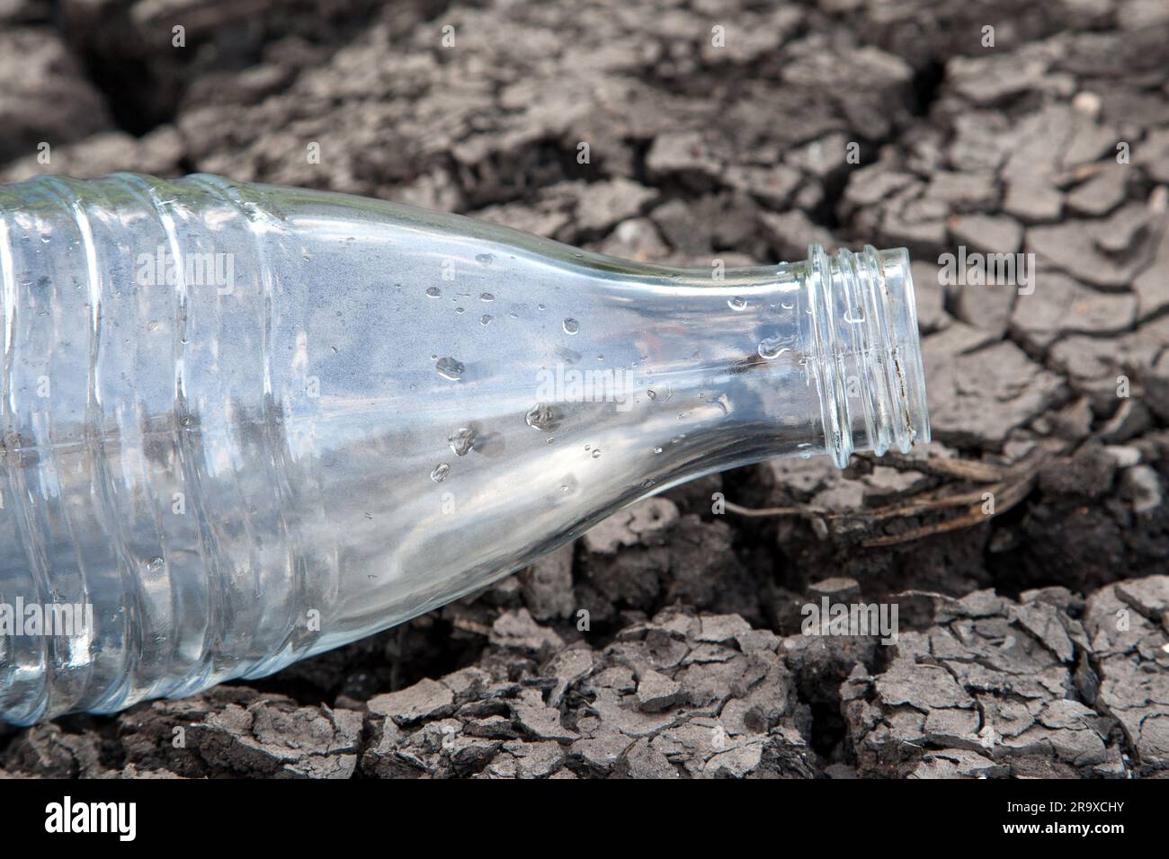 Die leere Wasserflasche spiegelt die Wasserknappheit in Europa wider, da jeder wertvolle Wassertropfen lebenswichtig wird. Stockfoto