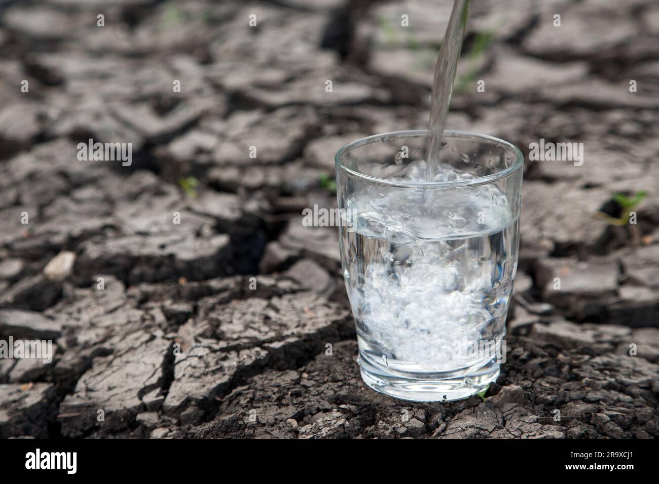 Wasser wird in ein Trinkglas gegossen, das auf ausgetrockneten Boden gelegt wird. Sie veranschaulicht die Niederschlagung des Trinkwassers in Europa. Wasserknappheit. Stockfoto