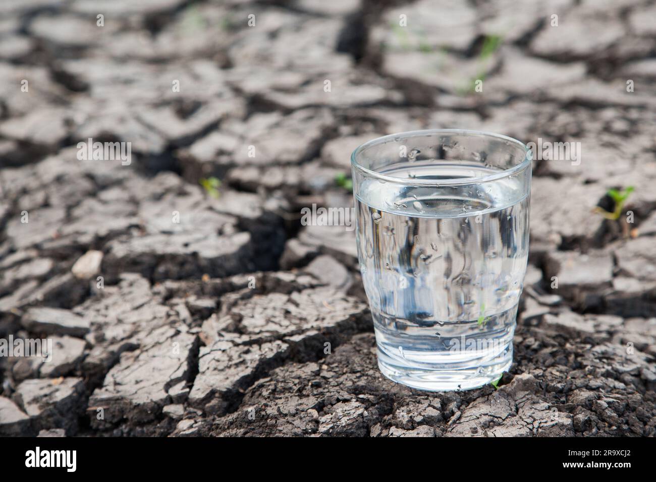 Ein volles Glas Wasser steht auf trockenem Boden. Stehen wir kurz vor einem ernsten Trinkwasserproblem? Aufgrund des Klimas, der Trockenperioden in Europa und G Stockfoto