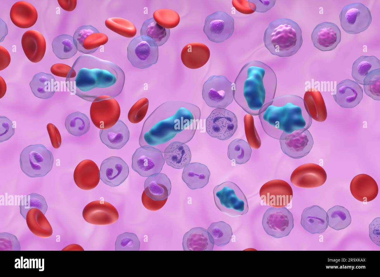 Paracetamol (Acetaminophen, TYL)-Moleküle im Blutfluss - isometrische Ansicht 3D Abbildung Stockfoto
