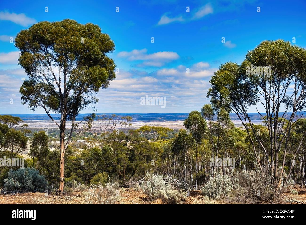 Panoramablick von Beacon Hill in Norseman, Westaustralien, über den Salzsee Lake Cowan und das leere Land der Great Western Woodlands. Stockfoto