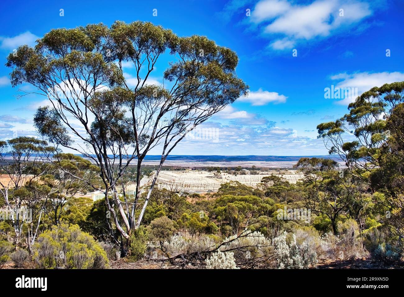 Blick vom Beacon Hill in Norseman, Westaustralien, im Vordergrund eine merrit (Eukalyptus flocktoniae), in der Rückentasche einer Goldmine Stockfoto