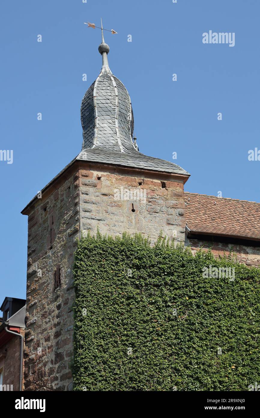 Historischer Turm - Blauer Hut, Eberbach, Neckar-Tal, Baden-Württemberg, Deutschland Stockfoto