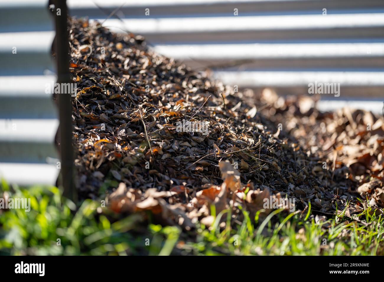 Ein Haufen Holzspäne und ein Kompost in einem Gemeindegarten in australien im Frühjahr Stockfoto