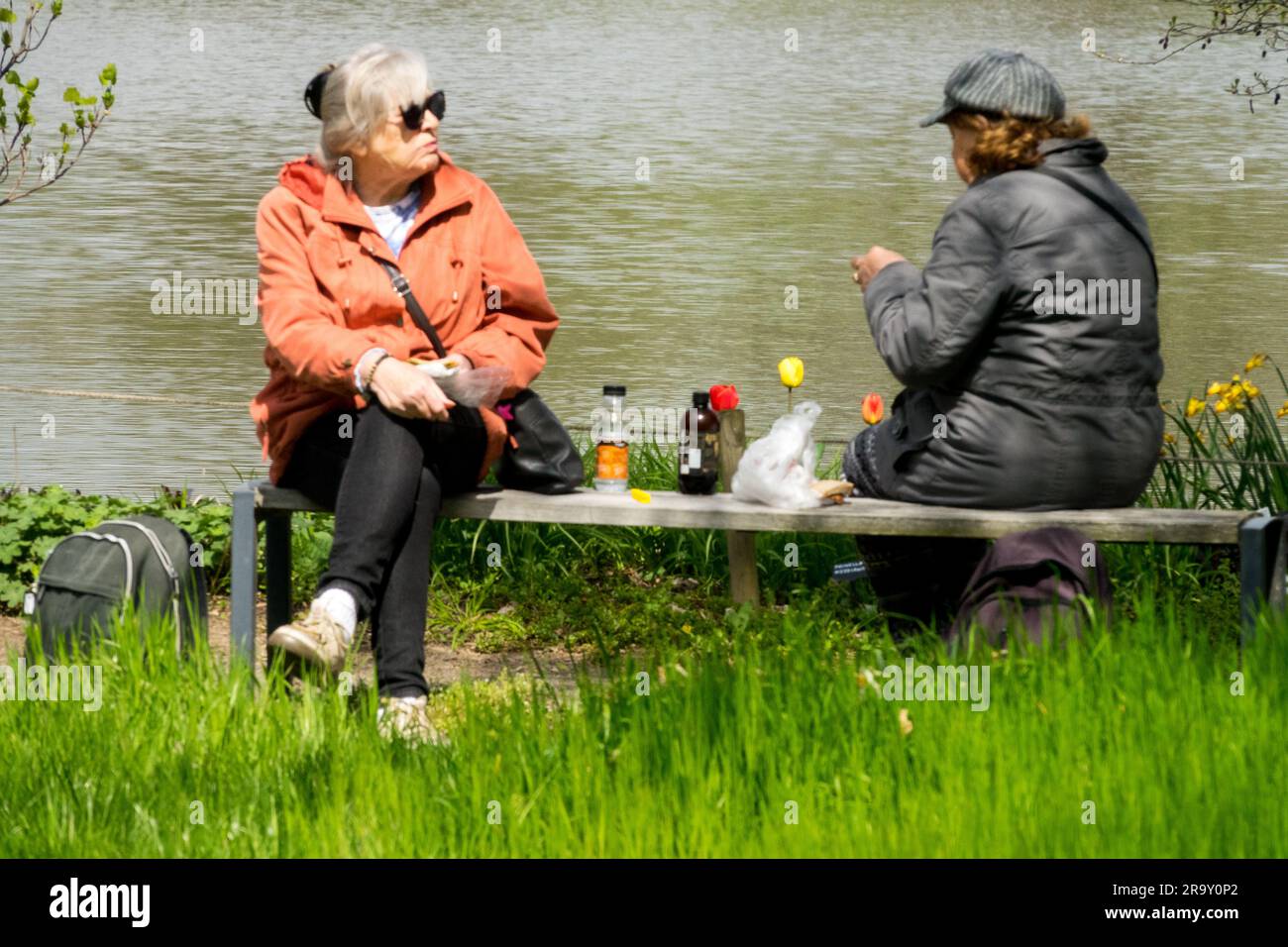 Ältere Frauen, Bank, Garten ältere Frauen Tschechische Republik Menschen 50er - 60er Jahre alte Menschen auf einer Bank in einem Park, Senioren altern, Bevölkerung, Altern Stockfoto