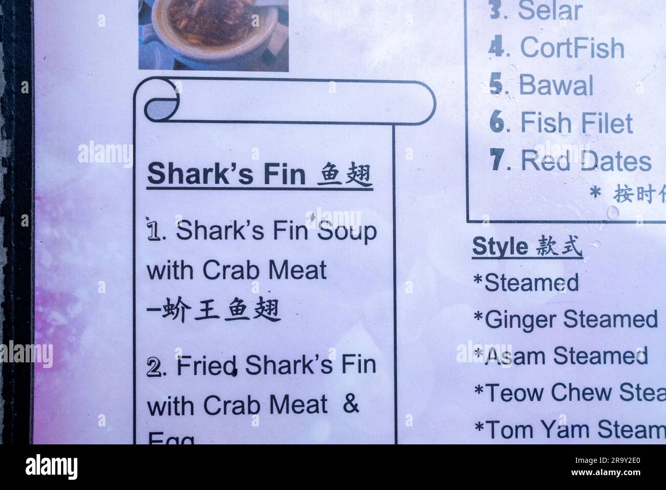 Kuala Lumpur, Malaysia - Mai 2023: Haifischflossensuppe auf der Speisekarte in einem chinesischen/malaiischen Restaurant Stockfoto