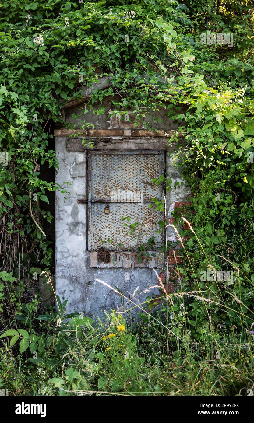 Die Geheimtür im Wald Stockfoto