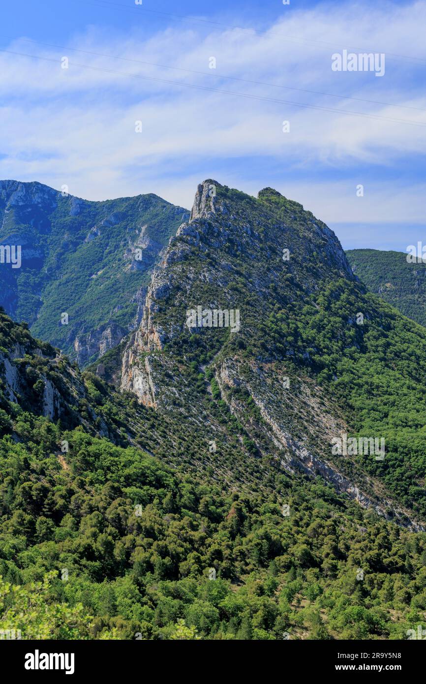 Verdonschlucht Var Alpes-de-Haute-Provence Provence-Alpes-Cote d'Azur Frankreich Stockfoto