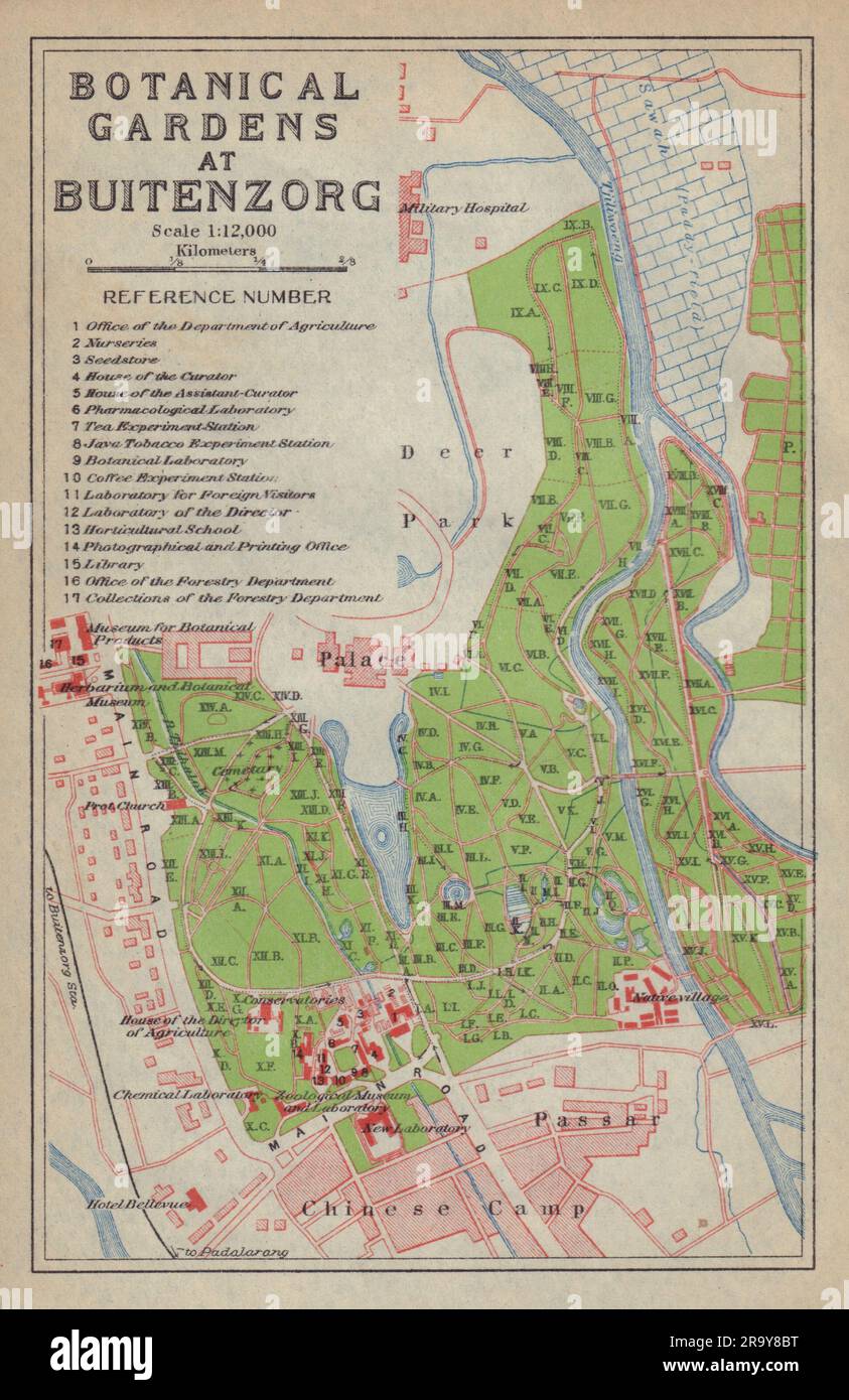 Bogor, West-Java. "Botanischer Garten in Buitenzorg". Indonesien 1917 alte Karte Stockfoto