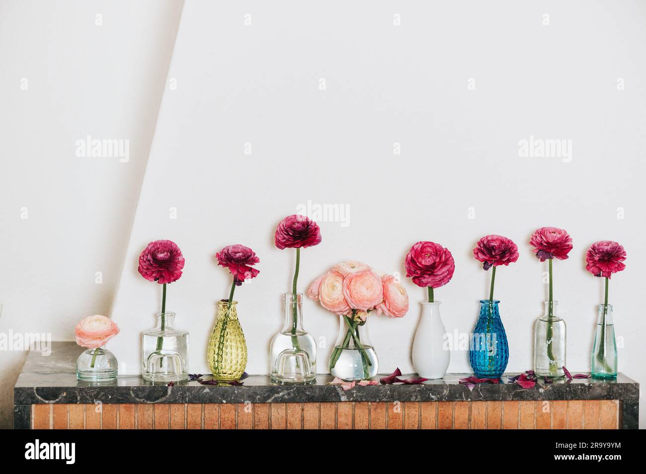 Inneneinrichtung, viele verschiedene Vasen mit Butterblumen auf dem Regal an der weißen leeren Wand Stockfoto