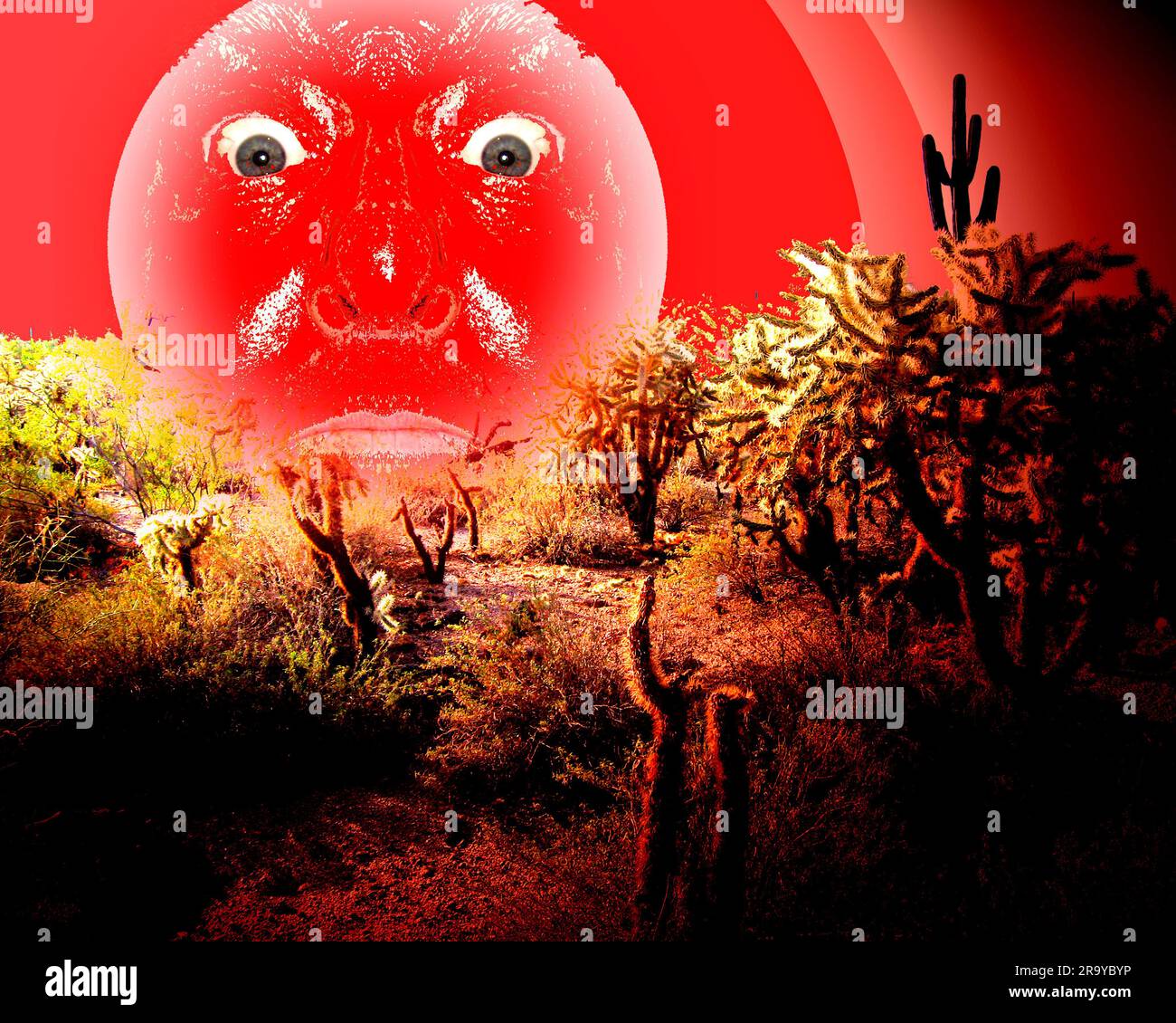 Rotes Sonnengesicht Stockfoto