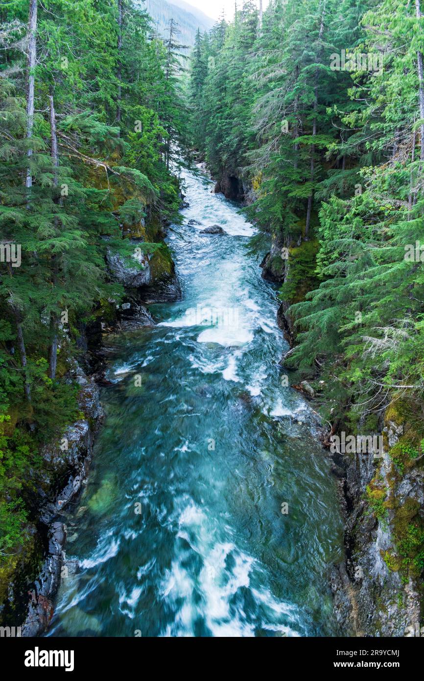 Der wunderschöne Seymour River fließt durch Lower BC, Kanada Stockfoto