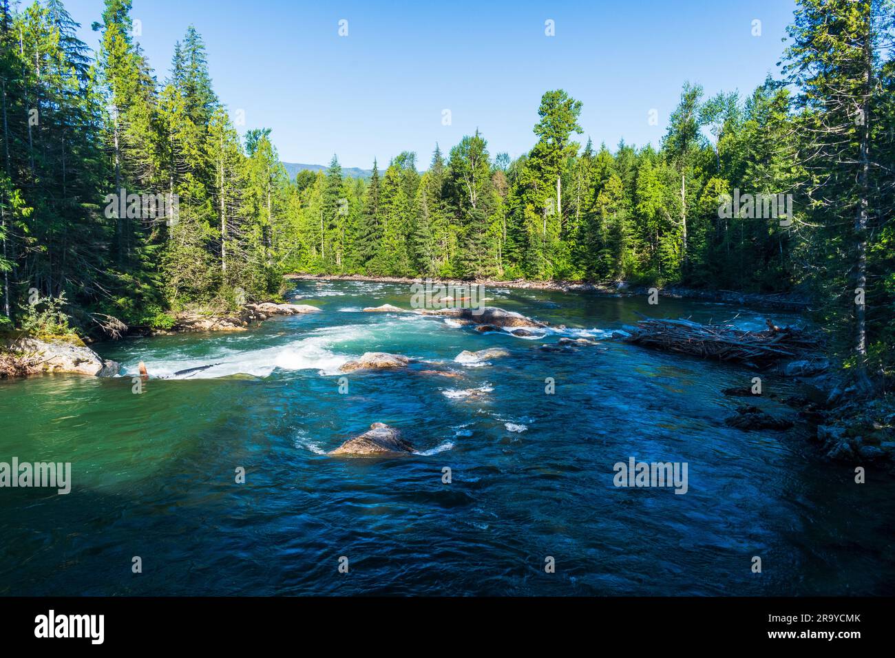 Der wunderschöne Seymour River fließt durch Lower BC, Kanada Stockfoto