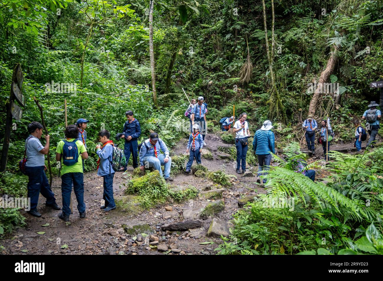 Schulkinder wandern auf einem organisierten Ausflug. Parque Natural Chicaque. Kolumbien, Südamerika. Stockfoto