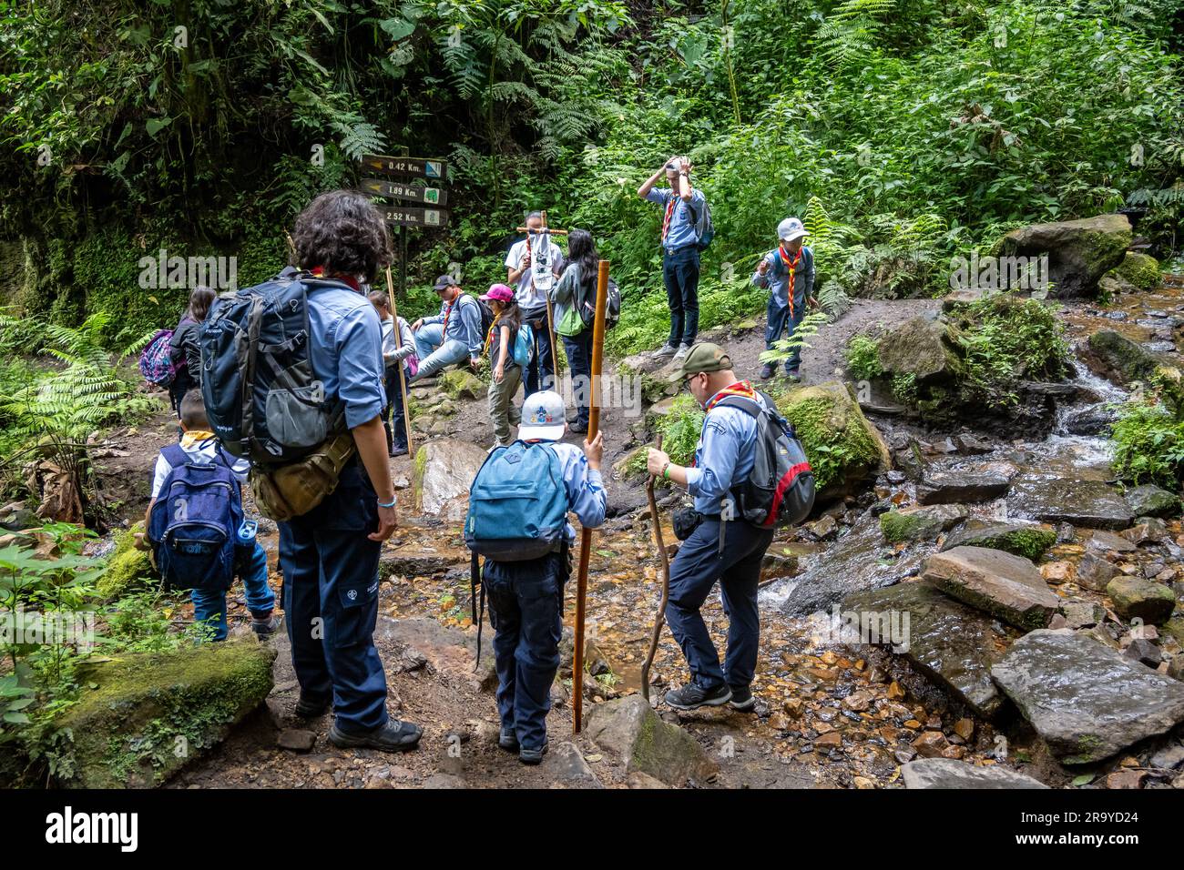 Schulkinder wandern auf einem organisierten Ausflug. Parque Natural Chicaque. Kolumbien, Südamerika. Stockfoto