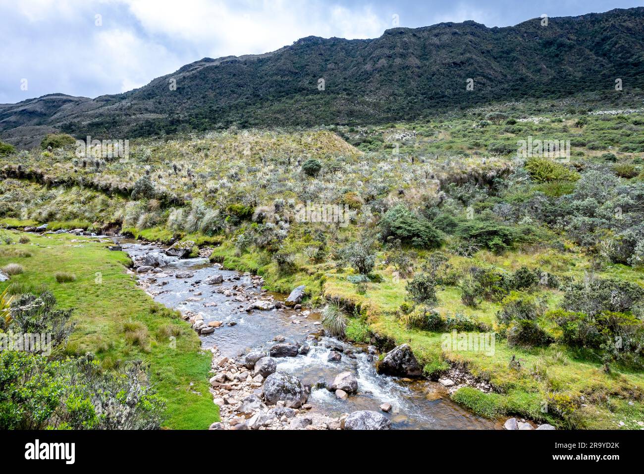 Bergbach in hoher Höhe, Paramo der Anden. Sumapaz Parque Nacional Natural. Kolumbien, Südamerika. Stockfoto