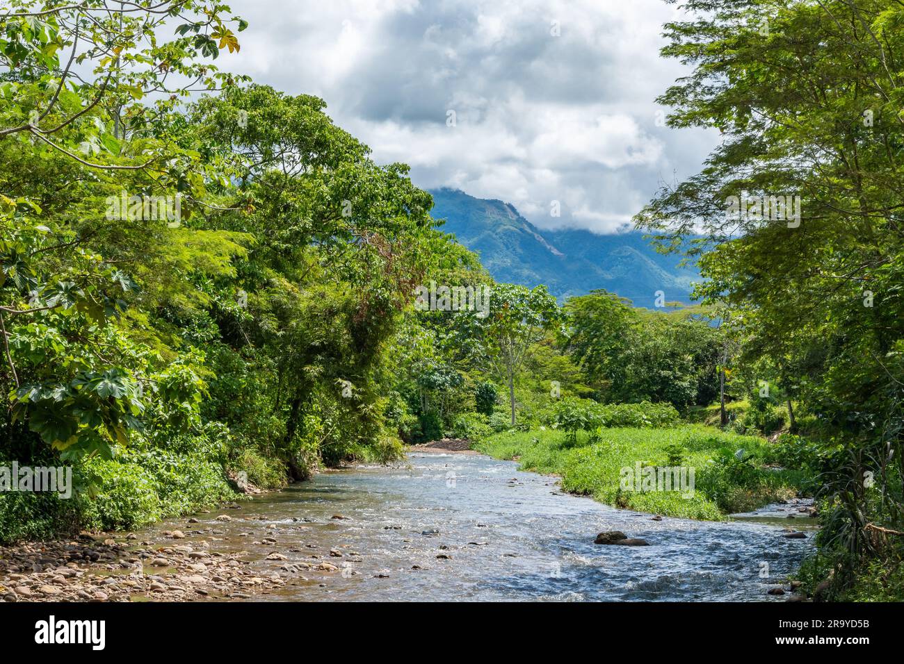 Ein Gebirgsfluss am Fuße der östlichen Anden. Kolumbien, Südamerika. Stockfoto