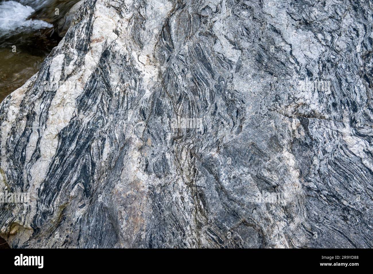 Gneiss, ein hochwertiges metamorphes Gestein, besteht aus Streifen aus hellen Quarz, Feldspark und dunklem Biotite. Kolumbien, Südamerika. Stockfoto