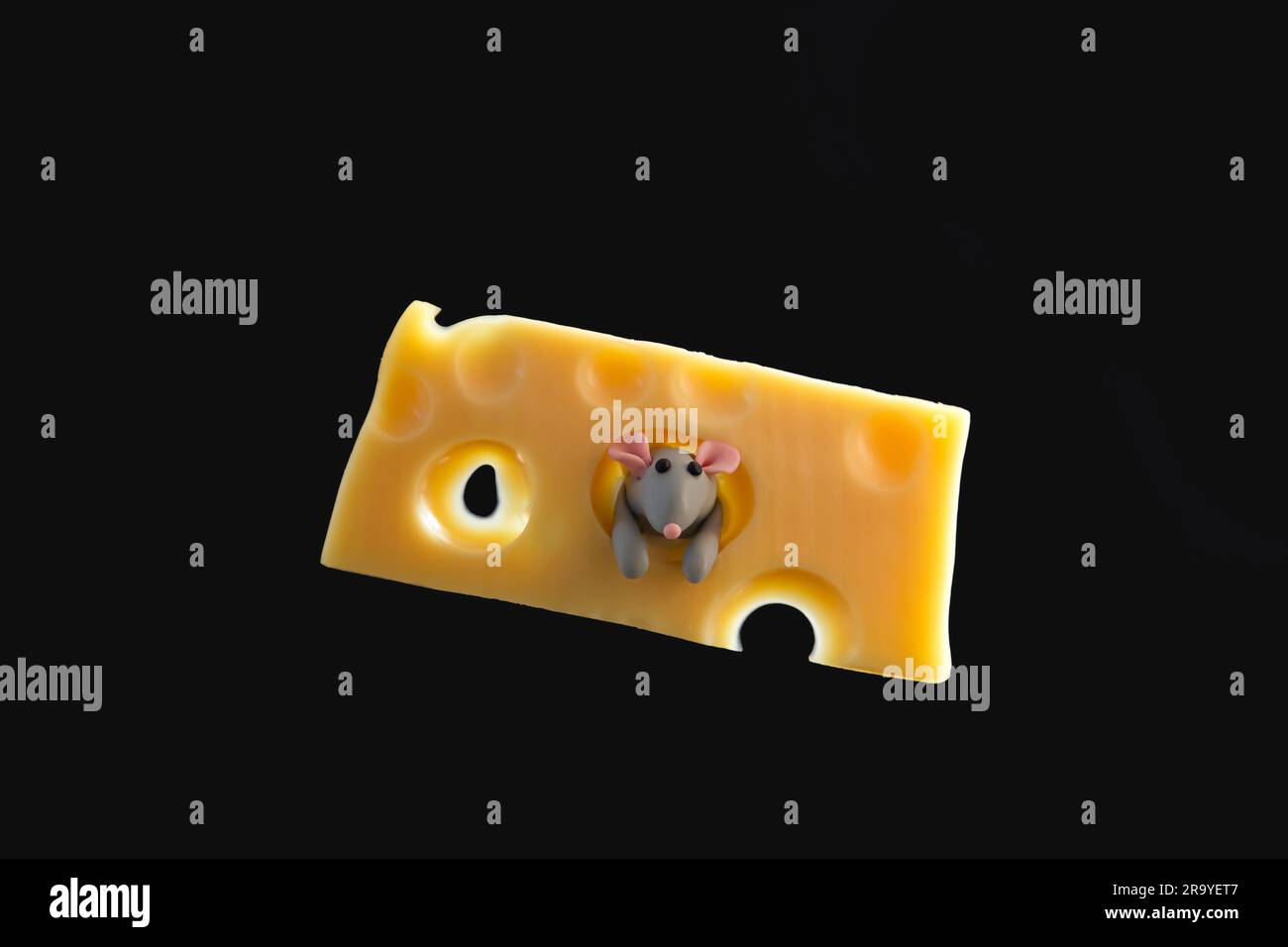 Kleine, graue Plastikmaus-Maus, die aus einem Stück Käse herausragt. Schwarzer Hintergrund. Stockfoto