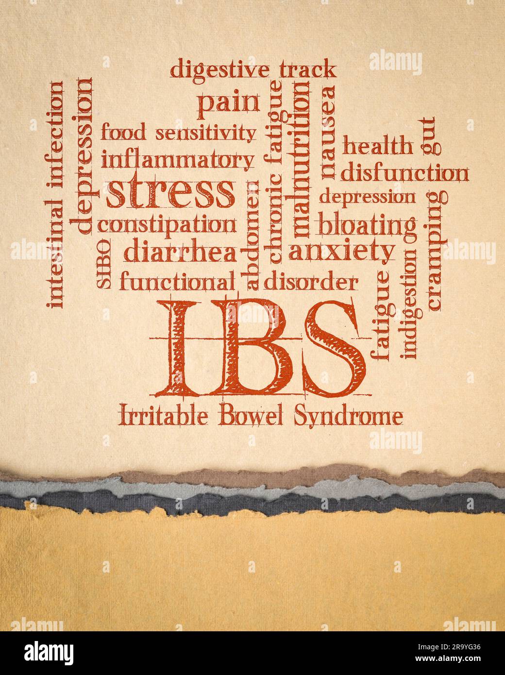 IBS - Reizdarmsyndrom Wortwolke auf Kunstpapier, Verdauungstrakt und Darmgesundheitskonzept Stockfoto