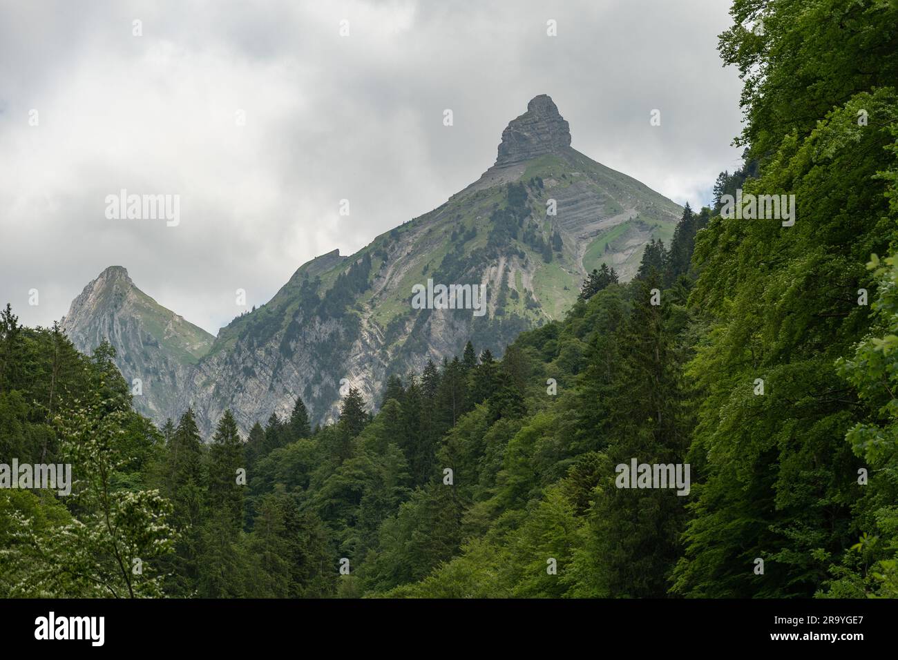 Waegital, Kanton Schwyz, Schweiz, 13. Juni 2023 Gipfel des Zindlenspitz, der sich hinter einigen grünen Bäumen erhebt Stockfoto