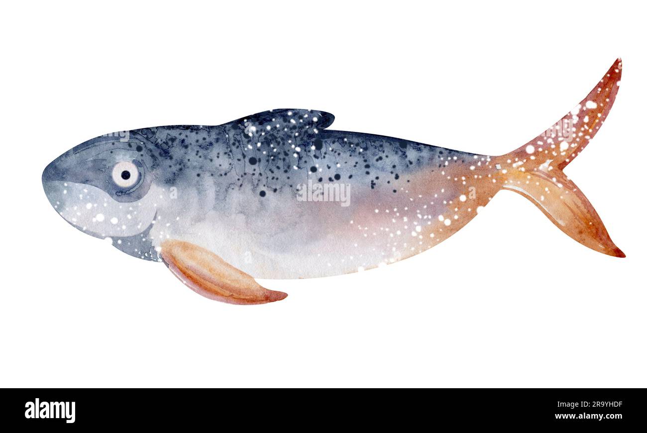 Aquarelle Darstellung von Cartoon-Seefischen. Meeresbewohner der Unterwasserwelt. Abbildung isoliert auf weißem Hintergrund. Ausbildung, Postkutsche Stockfoto