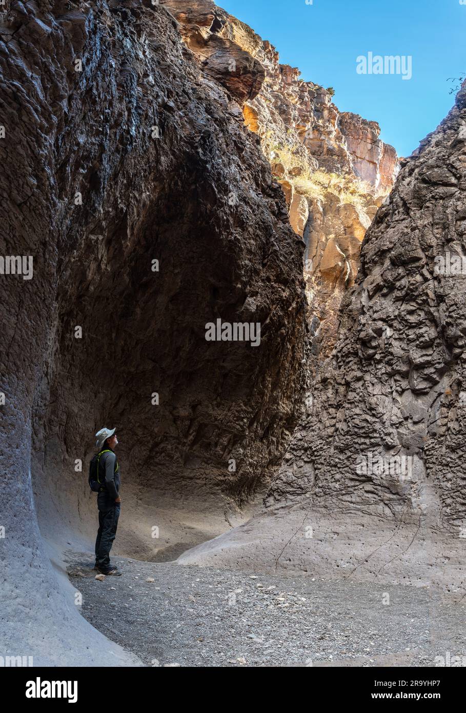 Hider-Person-Mann steht in einem wassererodierten Slot Canyon mit geschwungenen Wänden und Blick auf die Landschaft, geschlossener Canyon, Big Bend Ranch State Park, Texas Stockfoto