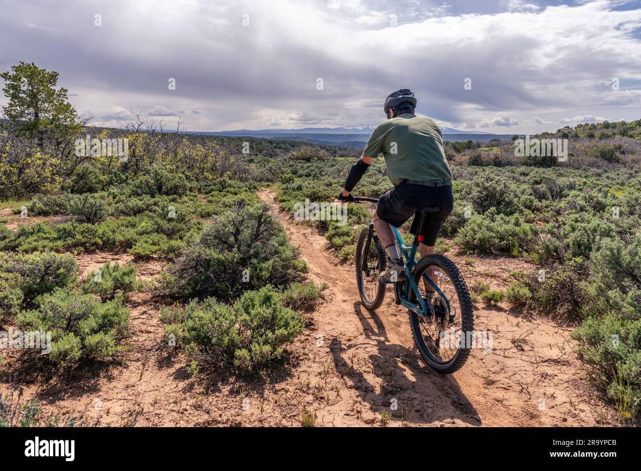 Gereifter weißer Mann, der auf einem sandigen Pfad auf einem Mountainbike unterwegs ist, Lower Sage Hen Trail Loop, McPhee Recreation Area, San Juan National Forest, Col Stockfoto