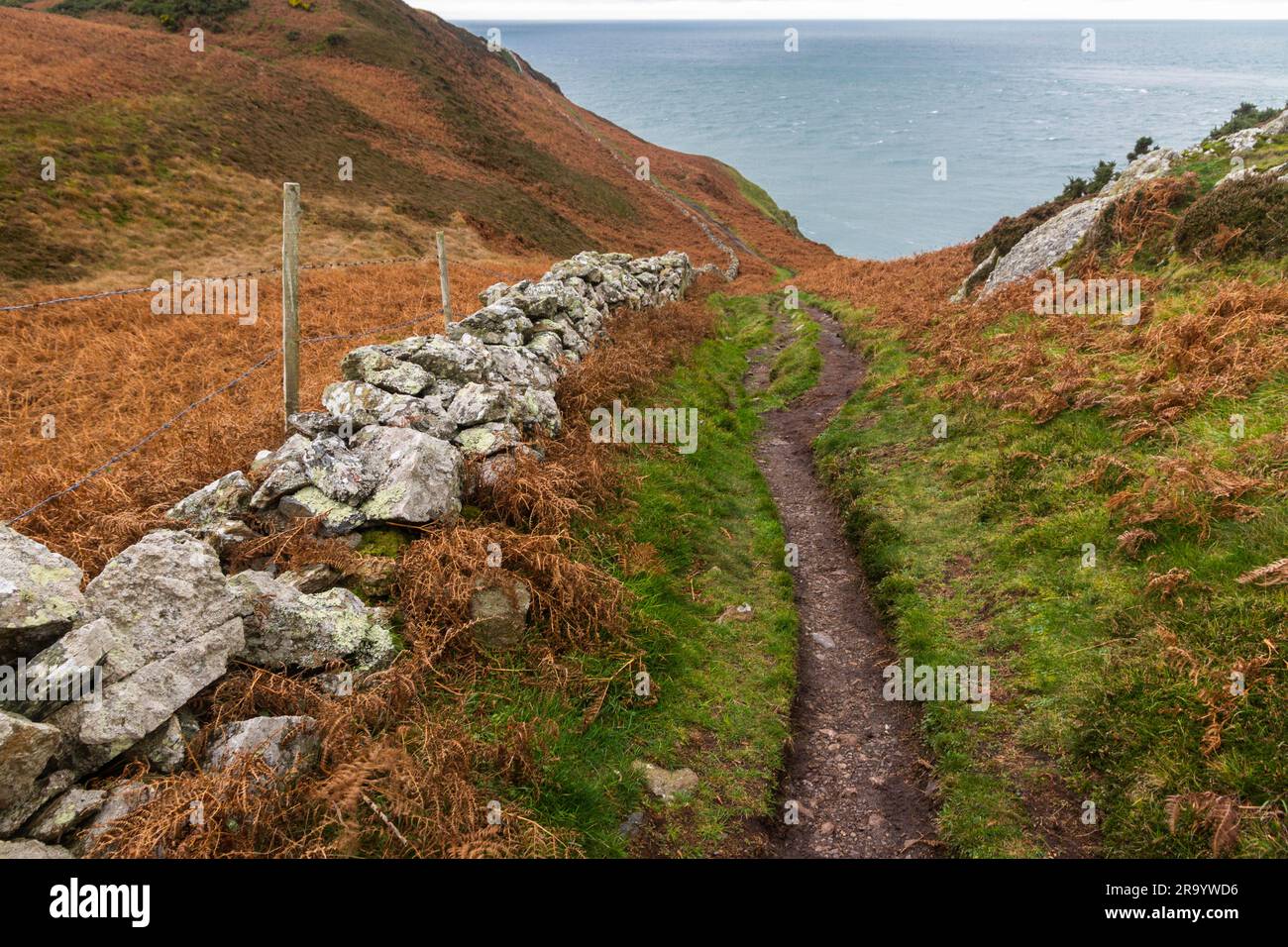 Anglesey North Coastal Path, Wales. Herbst- oder Herbstpfad mit Überresten von trockenen Steinmauern und Meer in der Ferne, Landschaft Stockfoto