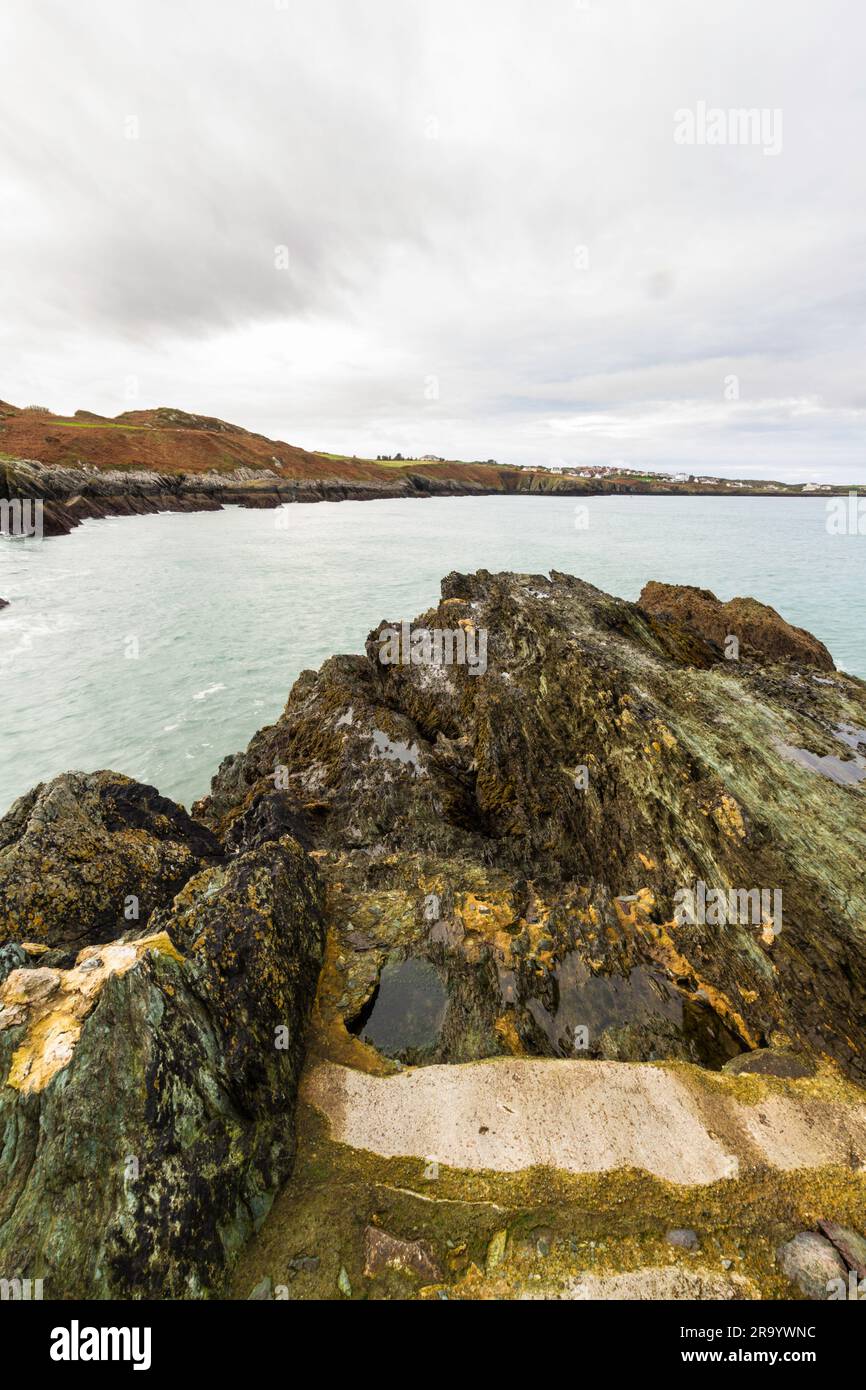 Anglesey North Coastal Path, Wales. Herbst oder Fall Bull Bay in Entfernung, Portait, Weitwinkel, Stockfoto