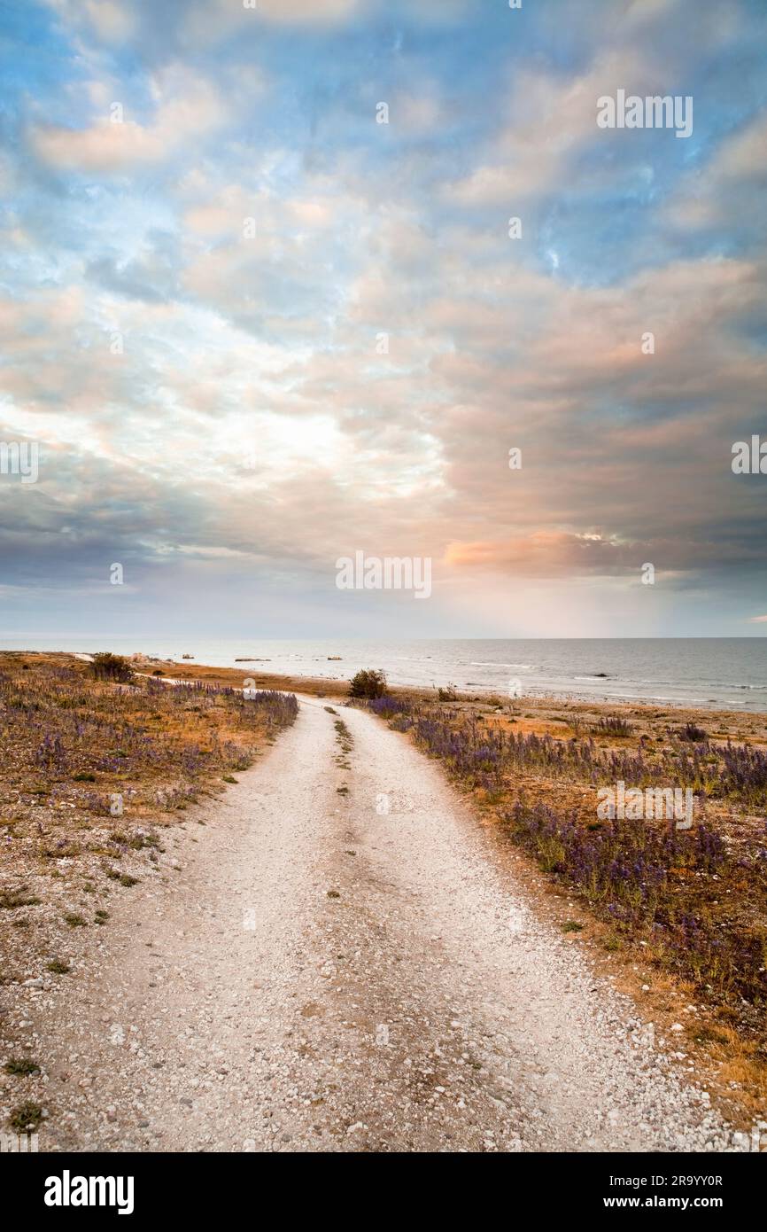 Oberflächenebene einer leeren Feldstraße entlang der Landschaft unter bewölktem Himmel, Insel Gotland, Schweden. Stockfoto