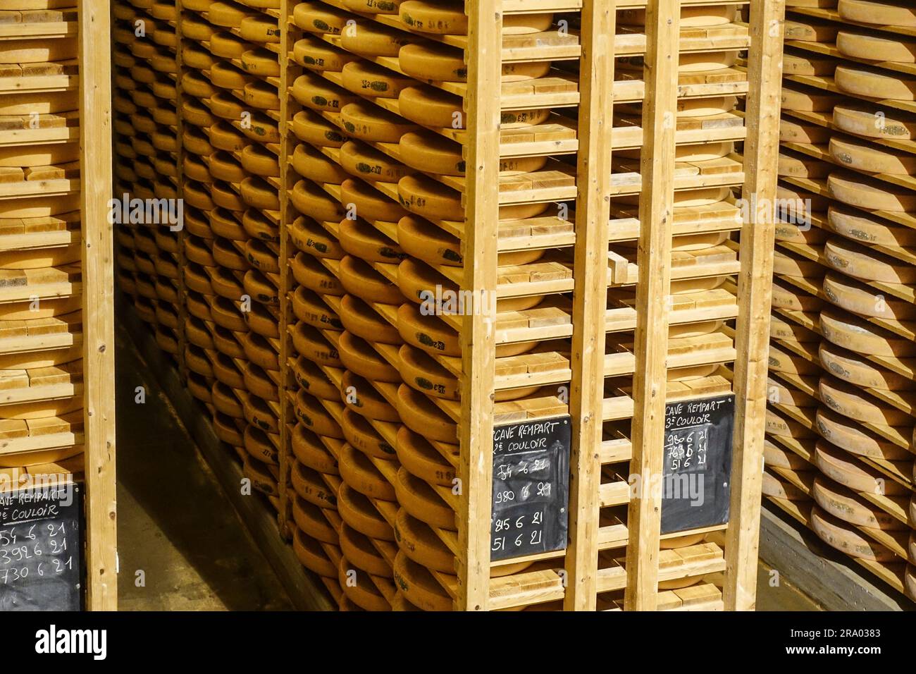 Comté-Käse, der in den Kellern von Fort Saint-Antoine bei Pontarlier, Franche-Comté, Frankreich, reift Stockfoto
