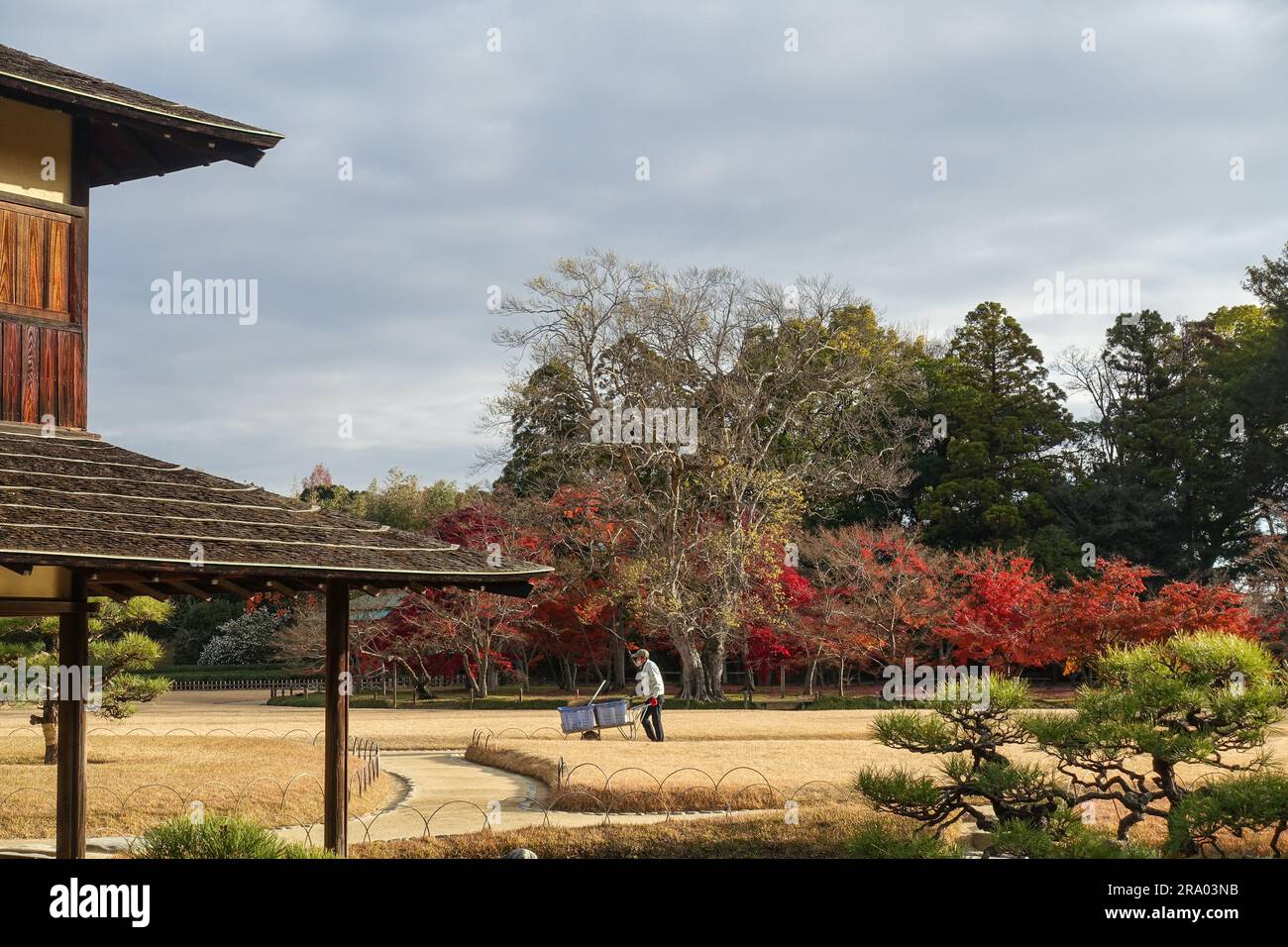 Gartenspaziergang im Spätherbstlaub Korakuen-Garten (後楽園) in Okayama, Japan. Korakuen gilt als einer der drei besten Landschaftsgärten Japans. Stockfoto