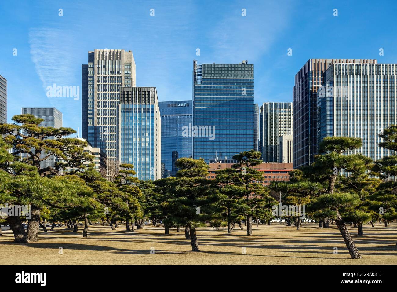Marunouchi Geschäftsviertel in Tokio, Japan Stockfoto