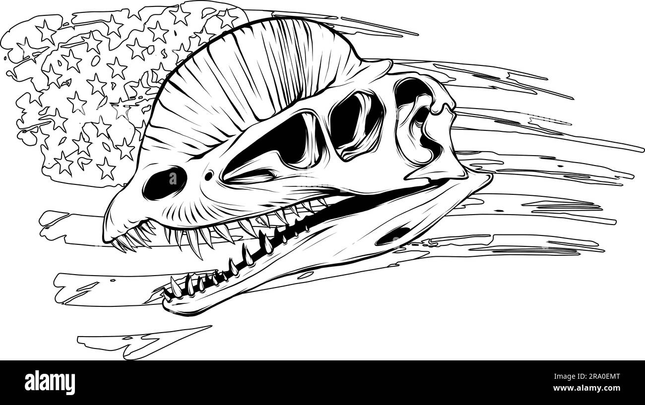 Graphischer Schädel des dilophosaurus isoliert auf weißem Hintergrund Stock Vektor