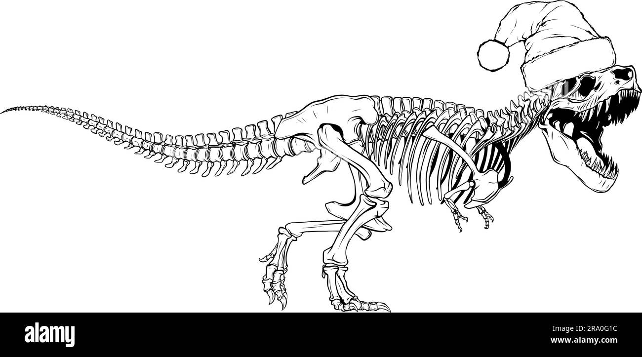 vektor Tyrannosaurus Rex Dinosaurier-Skelett-Modelldarstellung Stock Vektor
