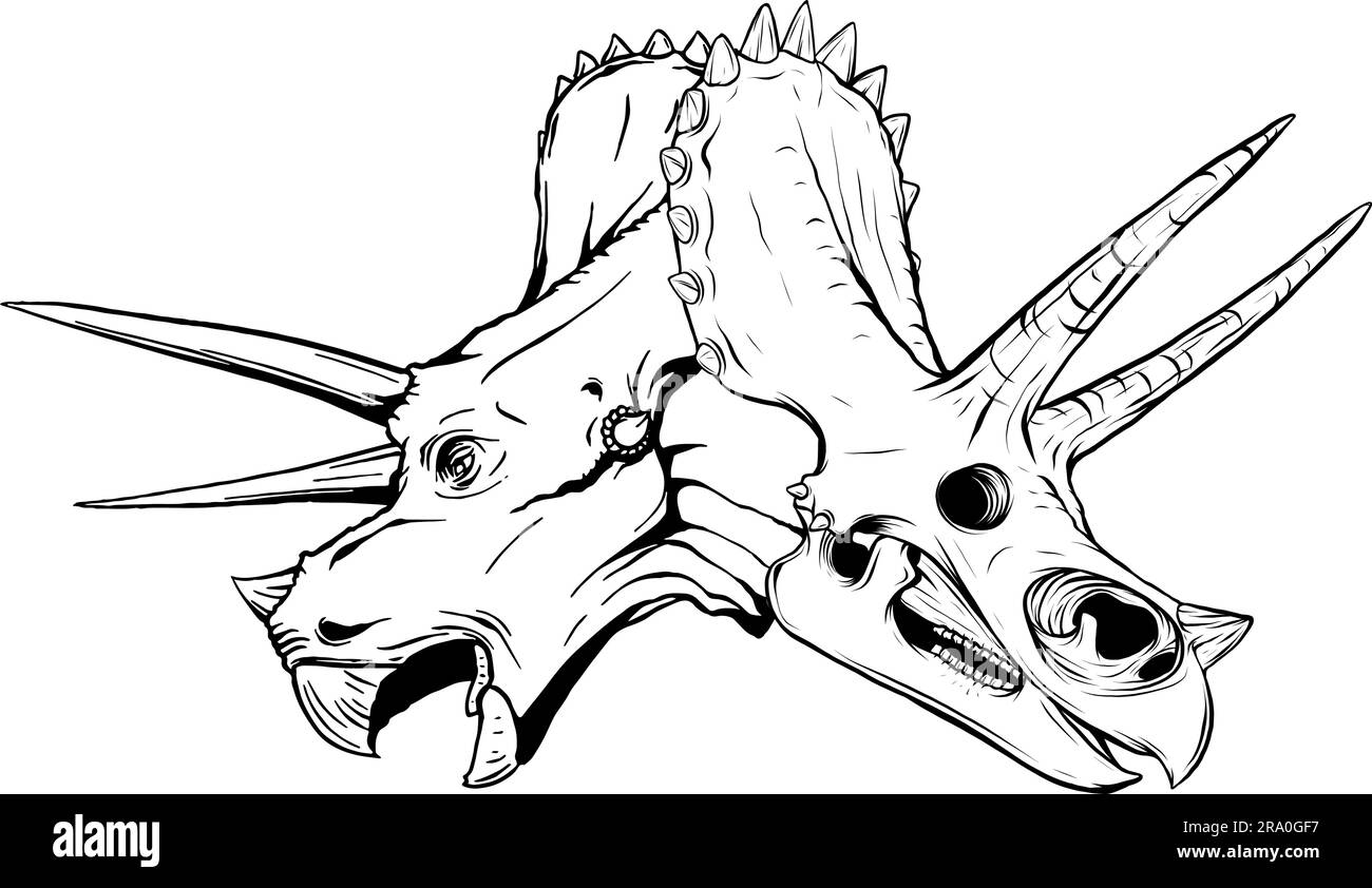 Abstrakte Black Line Dinosaurier Triceratops Skull Outline Stock Vektor