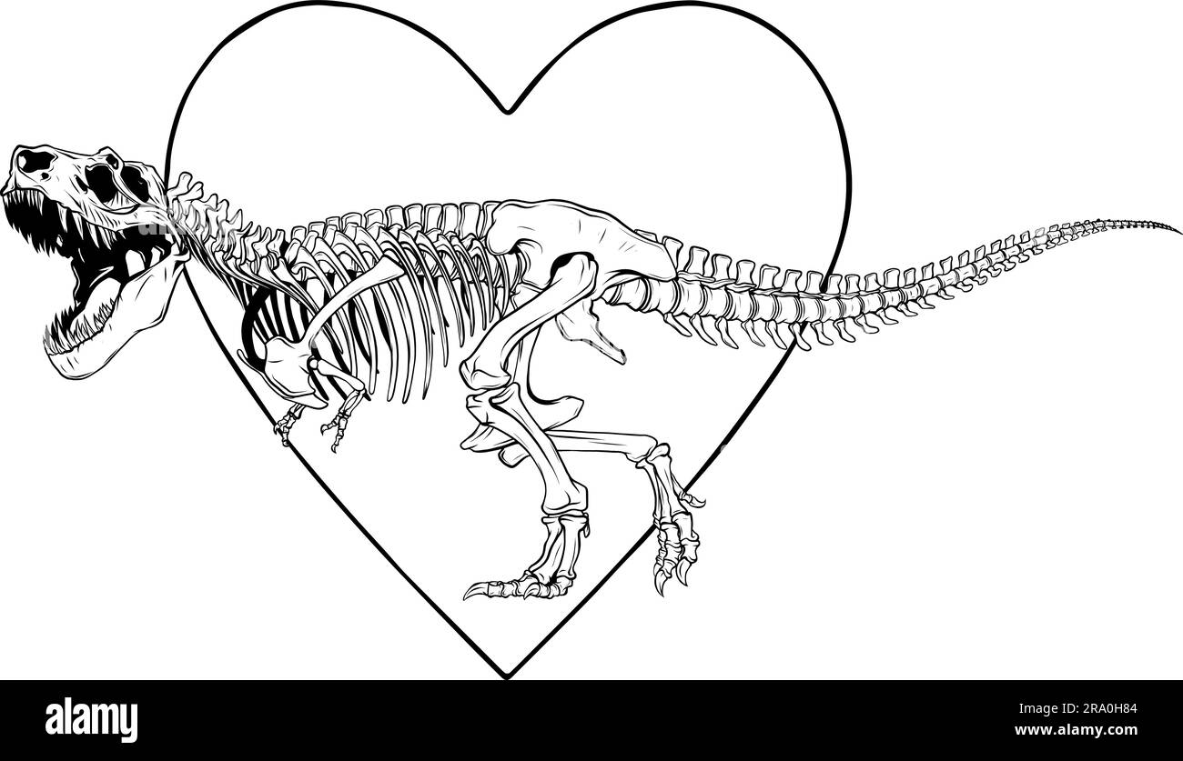 vektor Tyrannosaurus Rex Dinosaurier-Skelett-Modelldarstellung Stock Vektor