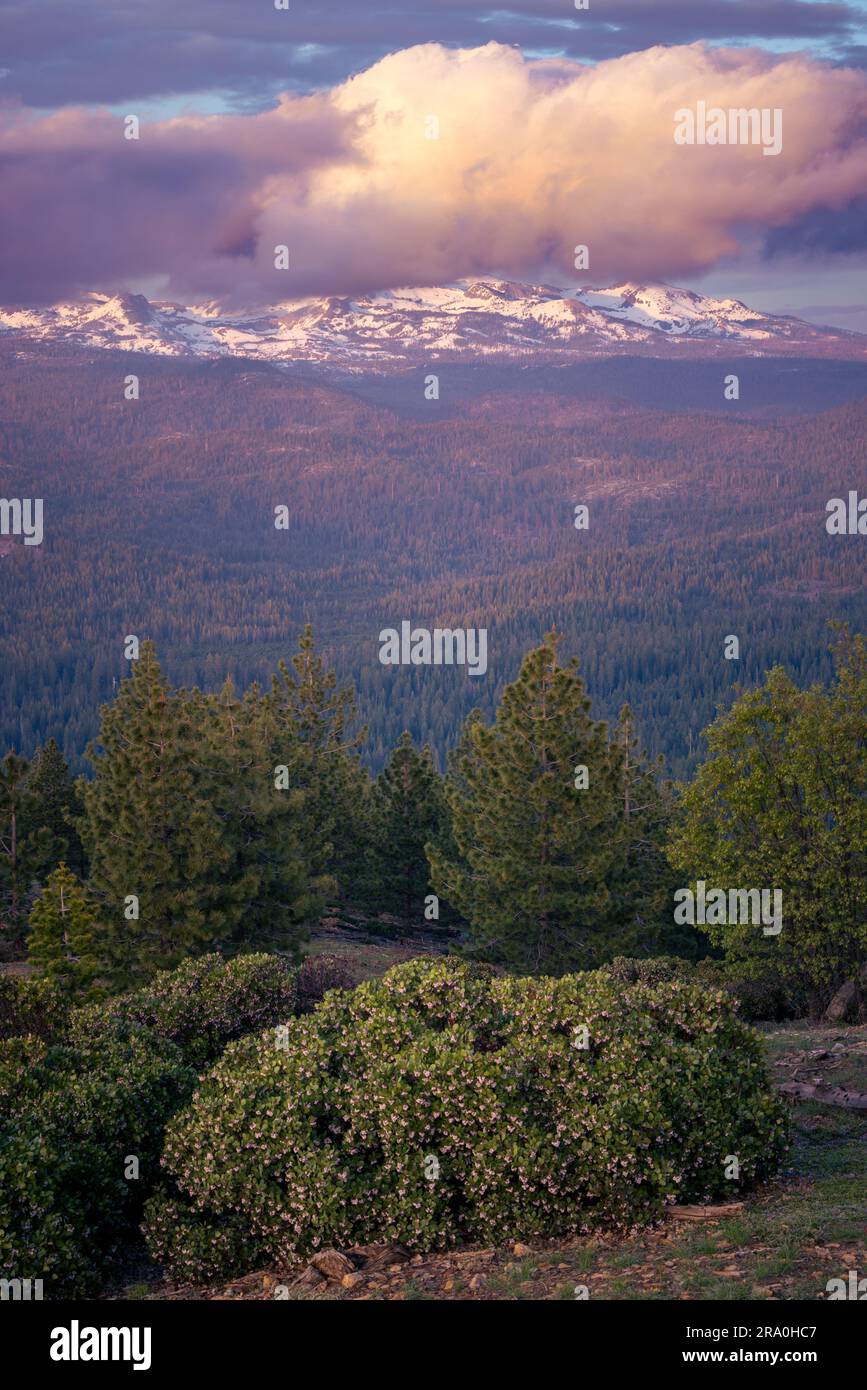 Pyramidengipfel und die Crystal Range bei Sonnenuntergang, wie vom Aussichtspunkt Big Hill im El Dorado County, Kalifornien, aus gesehen Stockfoto