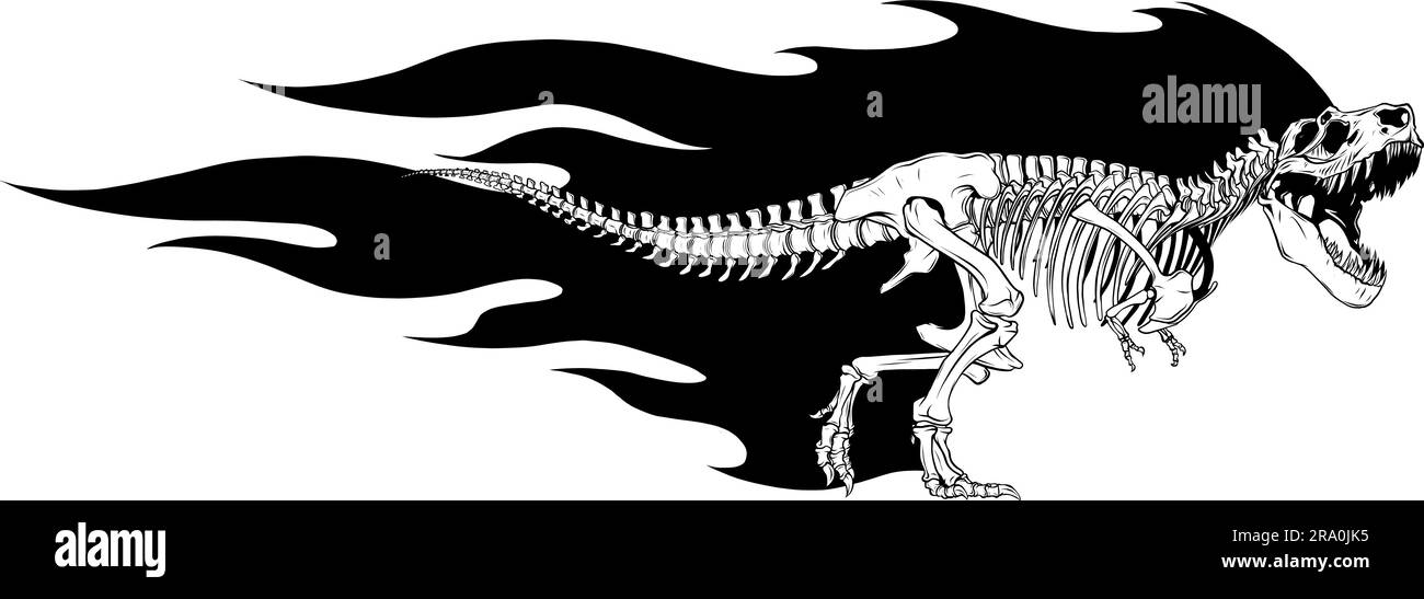 vektor Tyrannosaurus Rex Dinosaurier-Skelett-Modelldarstellung Stock Vektor