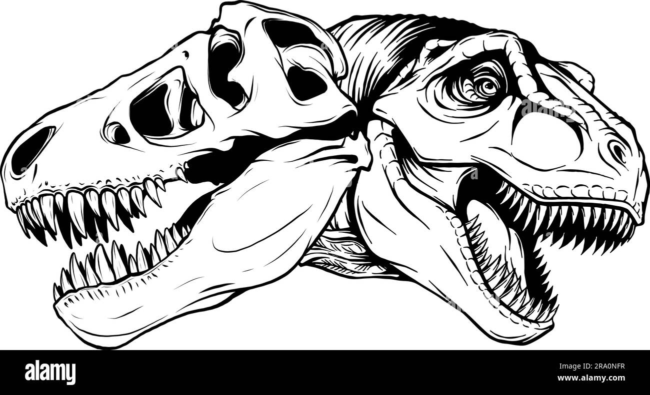 tyrannosaurus rex Dinosaurierkopf in schwarz-weißer Umrisszeichnung Stock Vektor