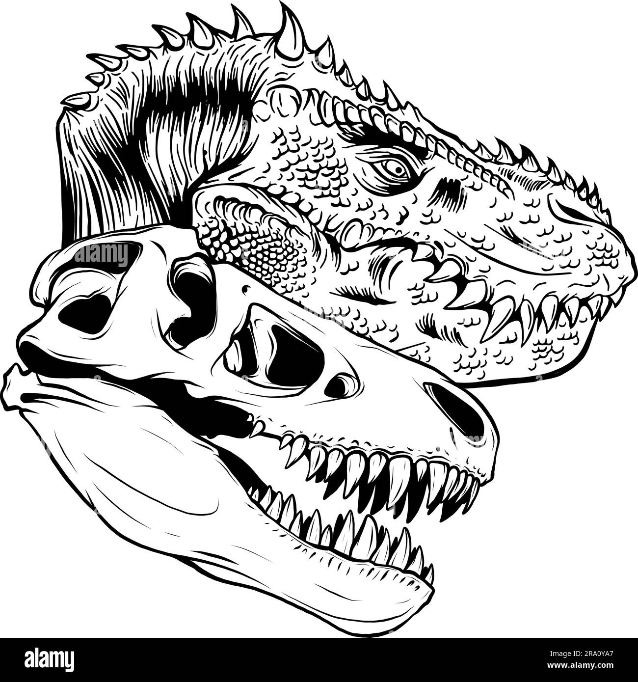 tyrannosaurus rex Dinosaurierkopf in schwarz-weißer Umrisszeichnung Stock Vektor