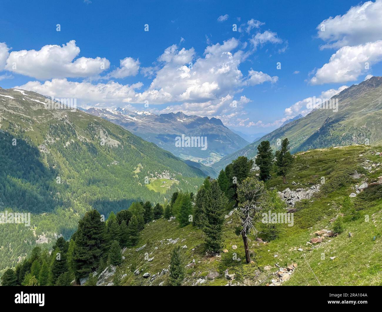 Blick auf den grünen Berghang und das grüne Tal Oetztal in den österreichischen Oetztalen in der Höhe der Baumlinie im Sommer, Tirol, Österreich Stockfoto
