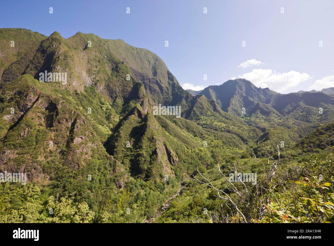 IAO Valley, Insel Maui, Hawaii, USA Stockfoto