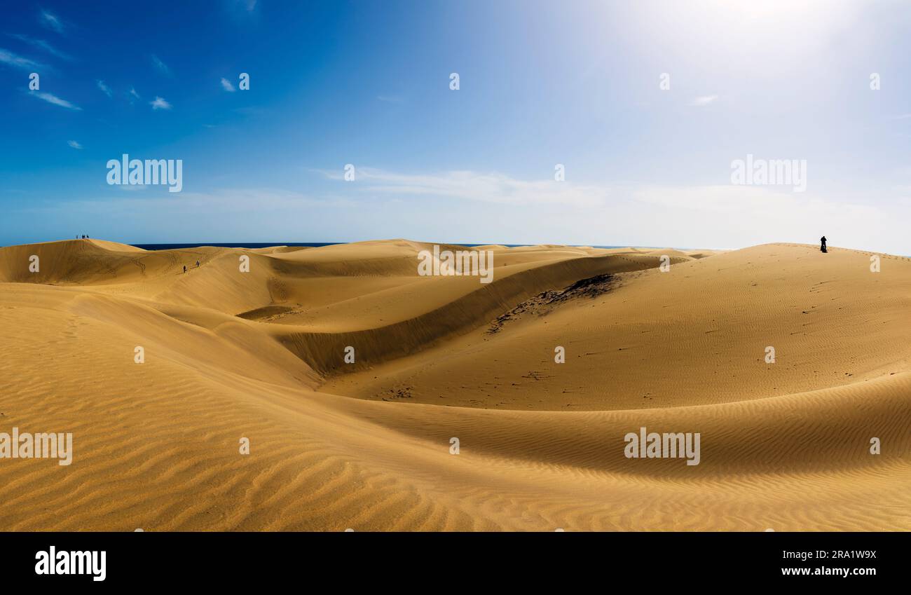 Panoramablick auf die gelben Dünen mit dem Horizont des Meeres Stockfoto