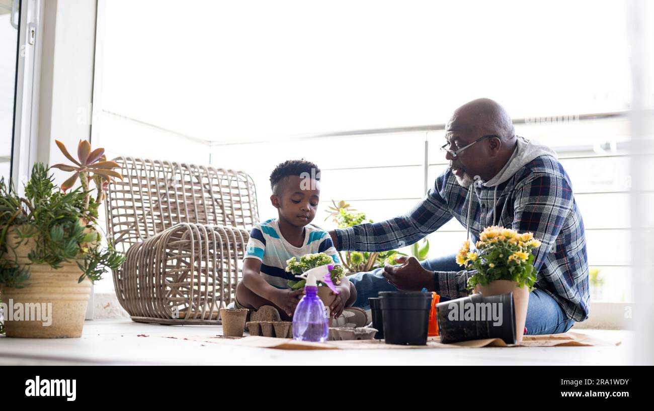 Glücklicher afroamerikanischer Großvater und Enkel, die Blumen auf der Terrasse Pflanzen Stockfoto