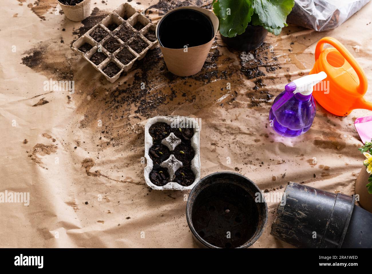 Nahaufnahme von Töpfen, Pflanzen und Gartengeräten auf dem Boden auf der Terrasse Stockfoto