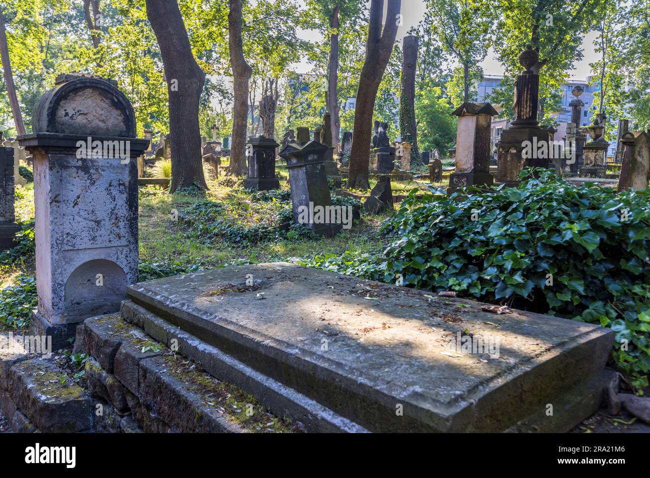 Die Zeit scheint auf dem Elias-Friedhof in Dresden stillzustehen. Grabsteine in unterschiedlichsten Formen erzählen von 200 Jahren Geschichte der Residenzstadt Dresden. Der Elias-Friedhof in Dresden ist seit 1876 stillgelegt und seit 1924 geschlossen Stockfoto