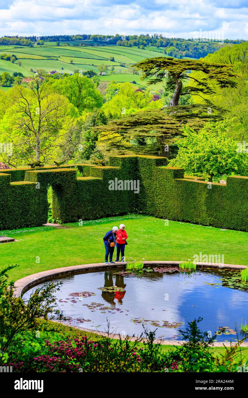 Zwei Besucher genießen die friedliche Ruhe des ruhigen Wassers im kreisförmigen Pool Garden am Knightshayes Court, nr Tiverton, Devon, England, Großbritannien Stockfoto